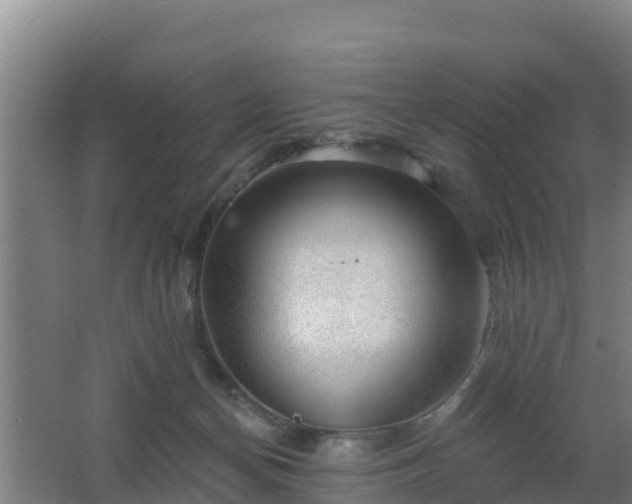 X0000062610174200512230929