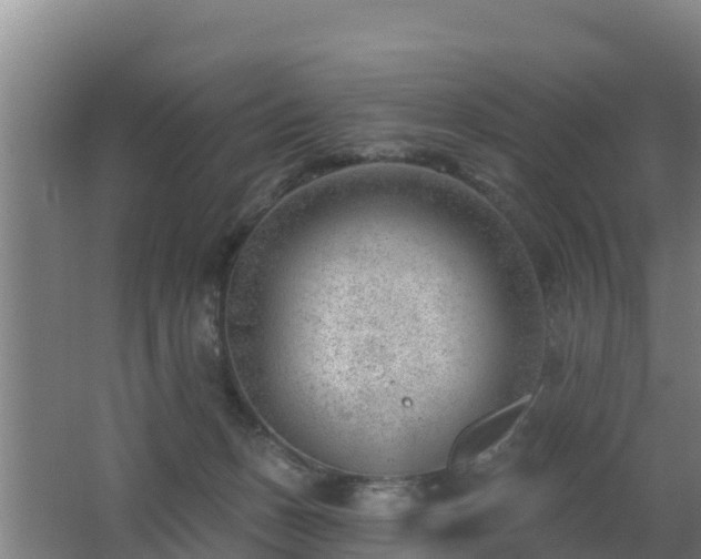 X0000062610175200512230929