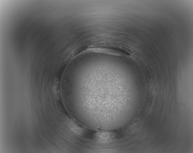 X0000062610181200512230929