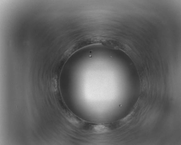 X0000062610183200512230929