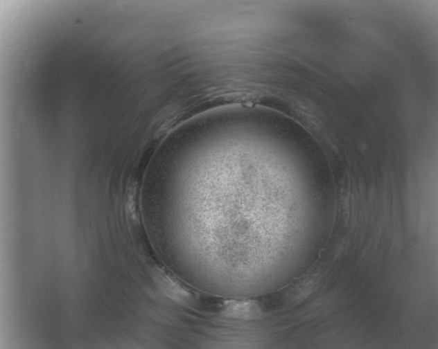 X0000062610185200512230929