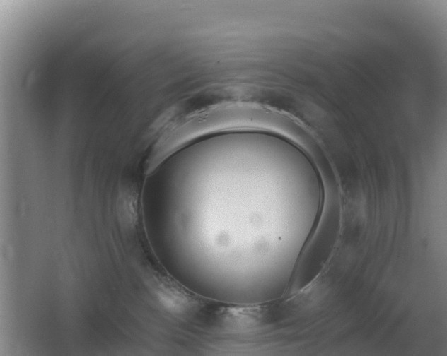 X0000062610188200512230930