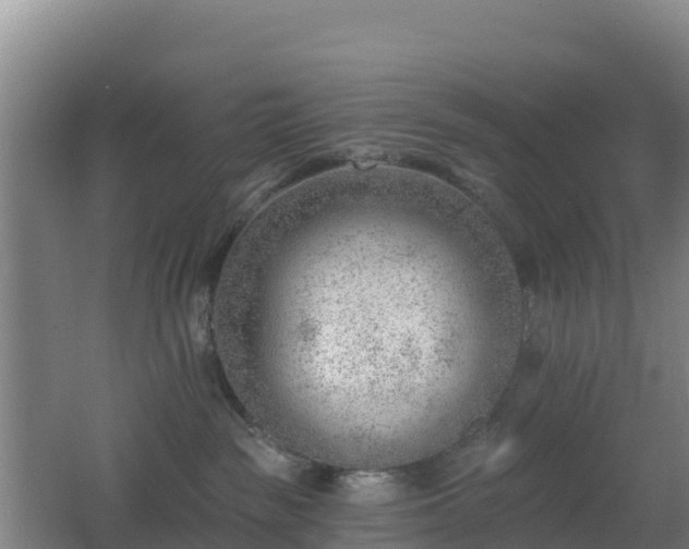 X0000062610189200512230930