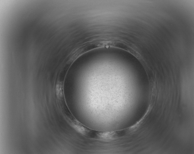 X0000062610191200512230930