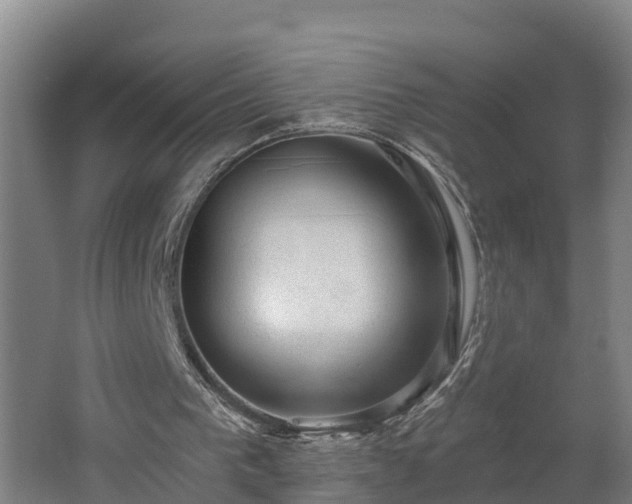 X0000062610193200512230929