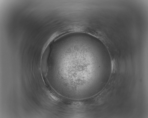 X0000062610195200512230929