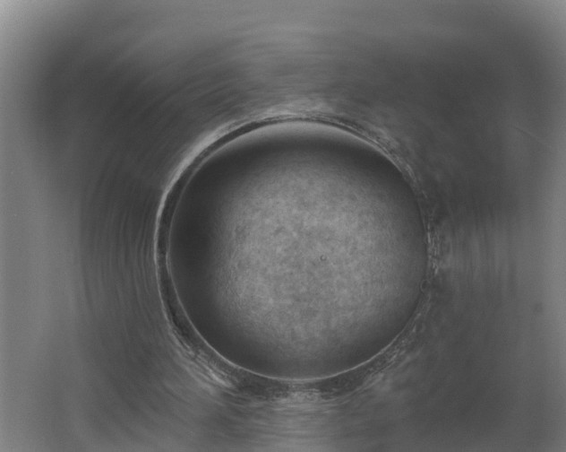 X0000062610196200512230929