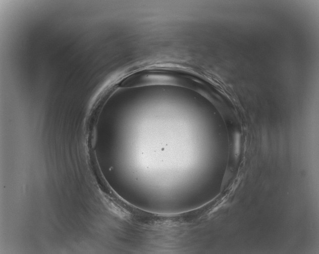 X0000062610197200512230929