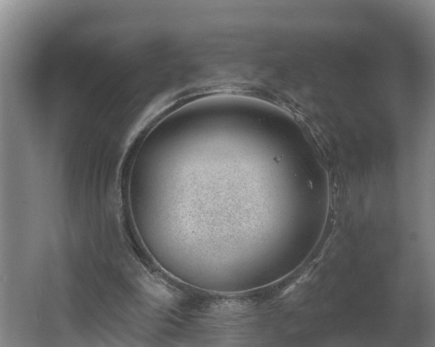 X0000062610198200512230929