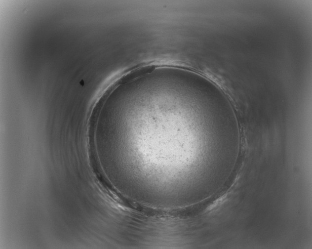 X0000062610199200512230929