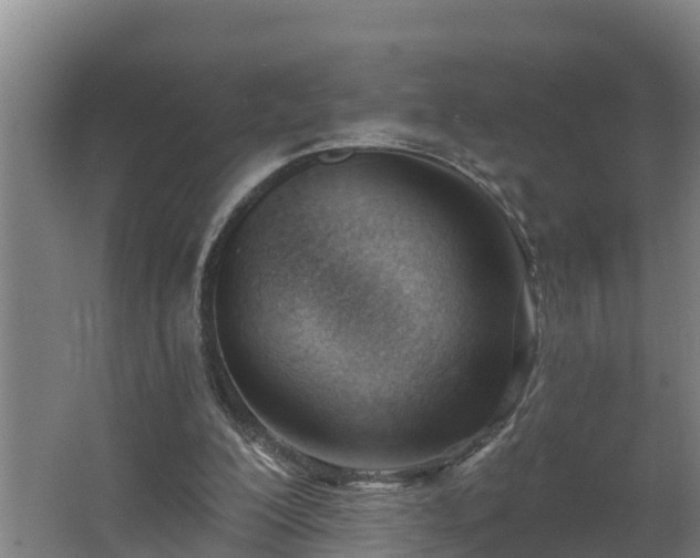 X0000062610200200512230929