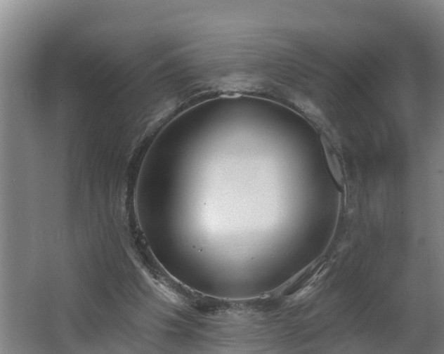 X0000062610201200512230929