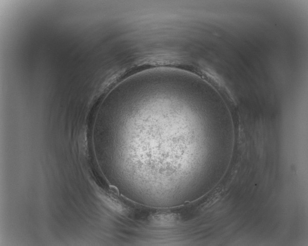 X0000062610202200512230929