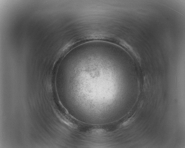 X0000062610203200512230929