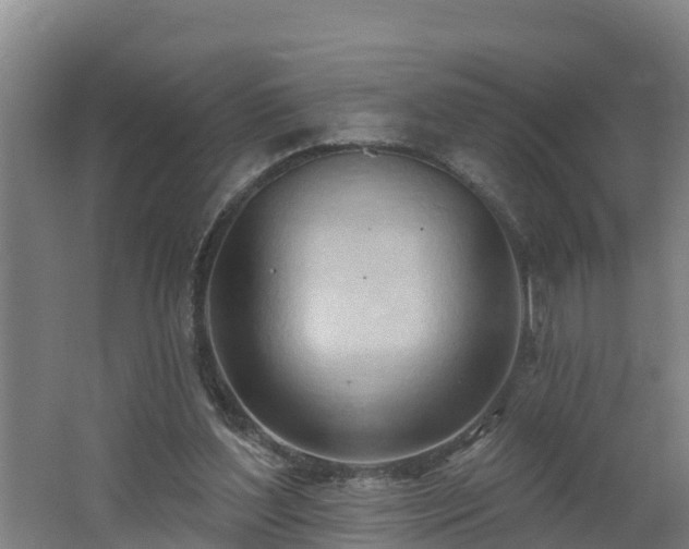 X0000062610204200512230929