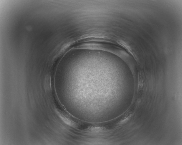 X0000062610205200512230929