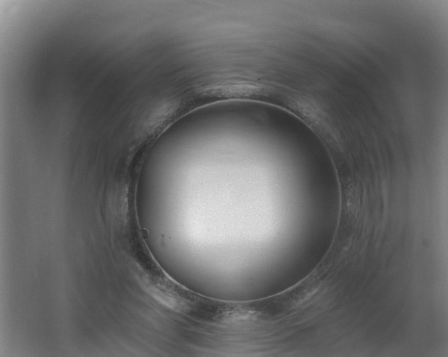 X0000062610206200512230929