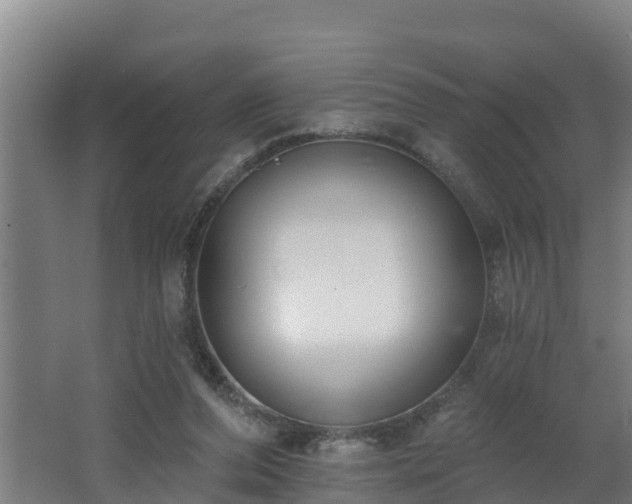 X0000062610208200512230929