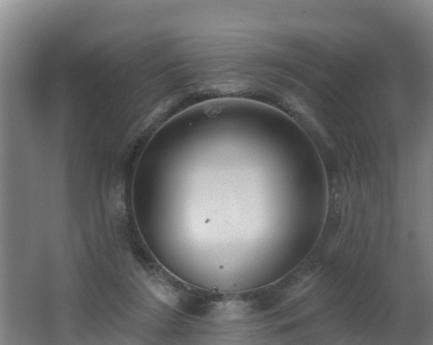 X0000062610212200512230928