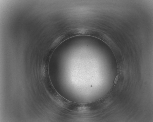 X0000062610216200512230928