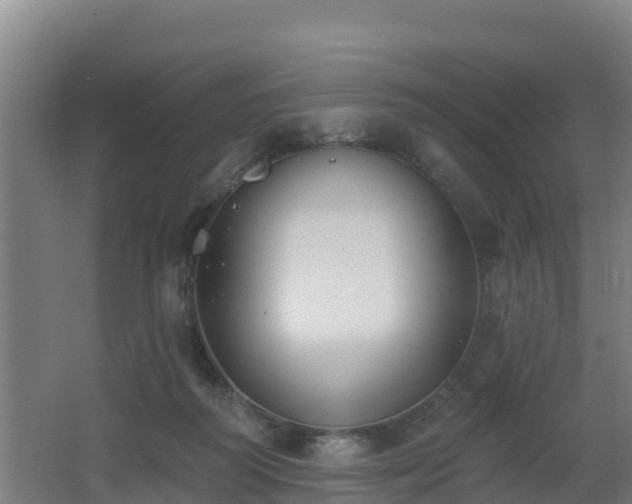 X0000062610218200512230928