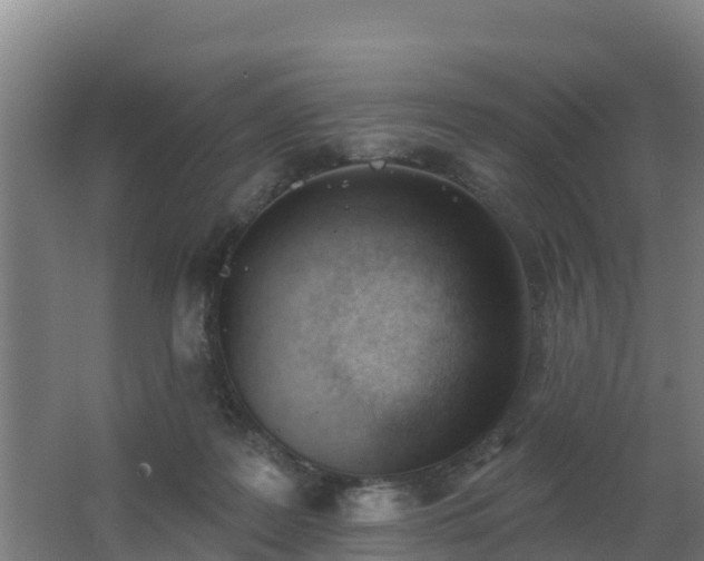 X0000062610219200512230928