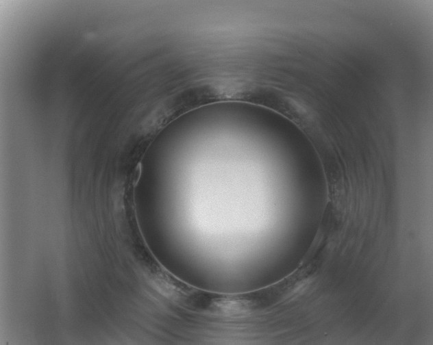 X0000062610221200512230928