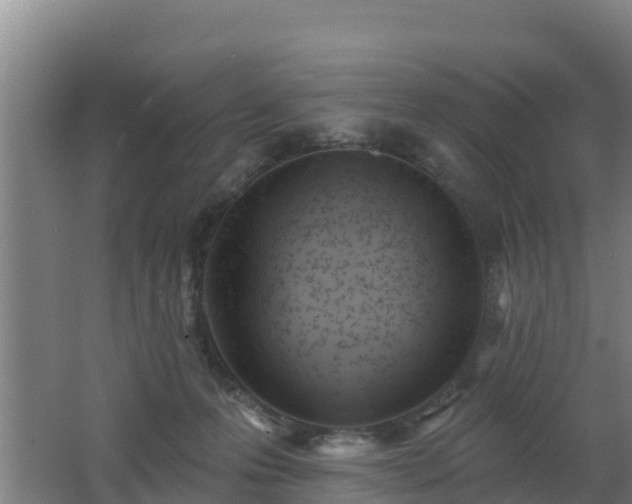 X0000062610223200512230928