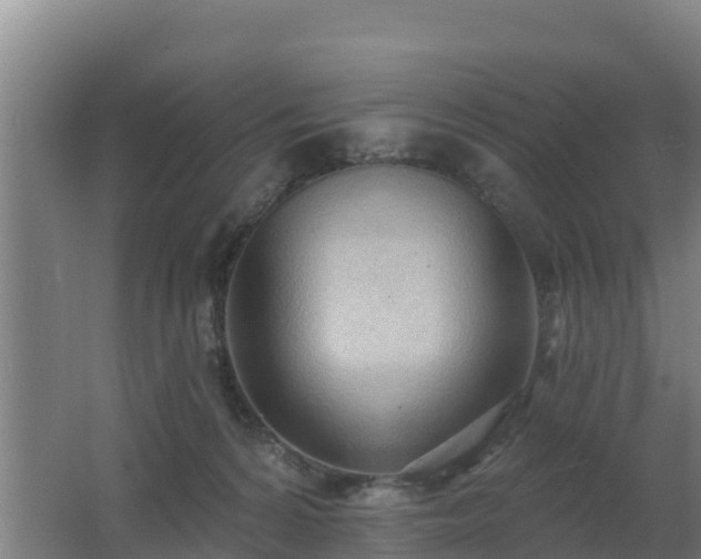 X0000062610224200512230928