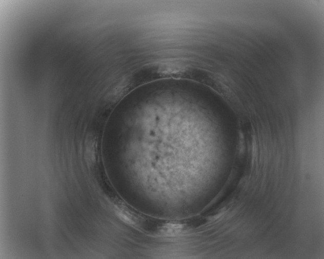 X0000062610227200512230928