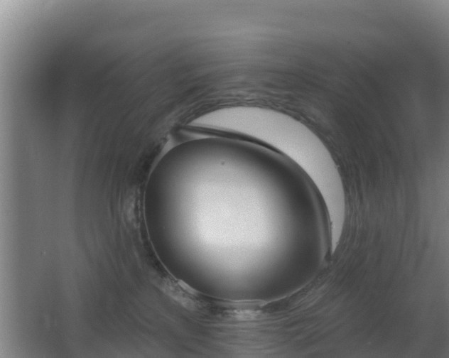 X0000062610233200512230928