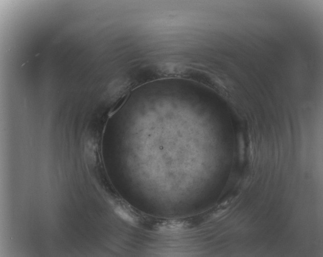 X0000062610235200512230928