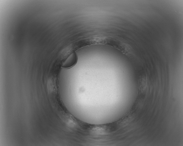 X0000062610236200512230928