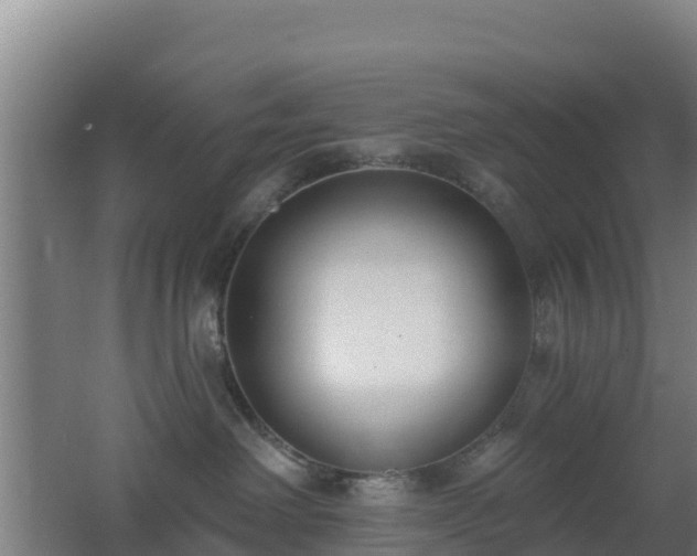 X0000062610238200512230928