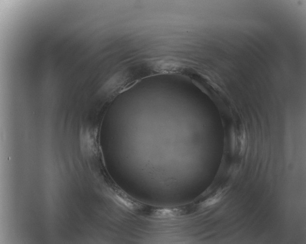 X0000062610239200512230928