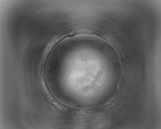 X0000062610241200512230927