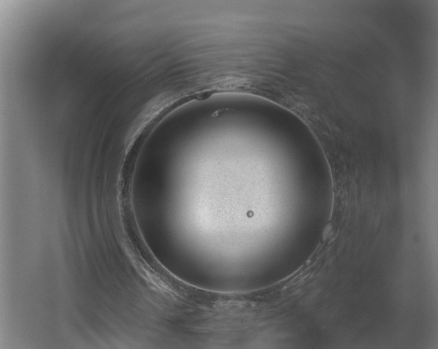 X0000062610242200512230927