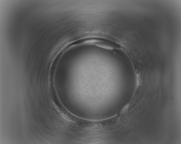 X0000062610243200512230927