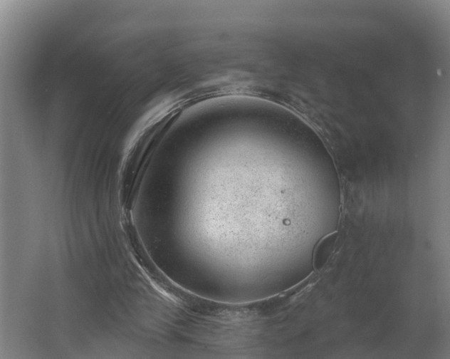 X0000062610245200512230927