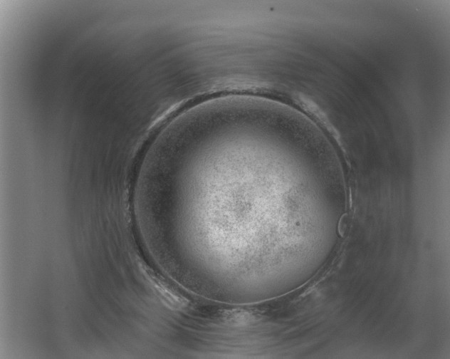 X0000062610249200512230927