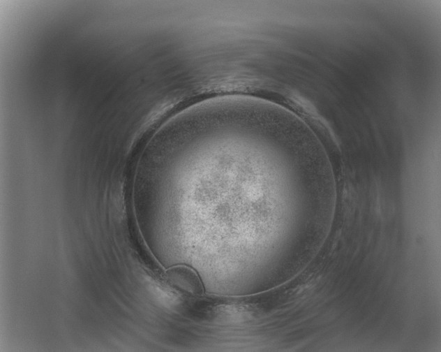 X0000062610250200512230927