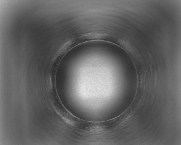 X0000062610254200512230927