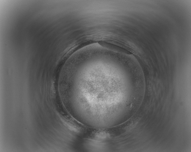 X0000062610258200512230927