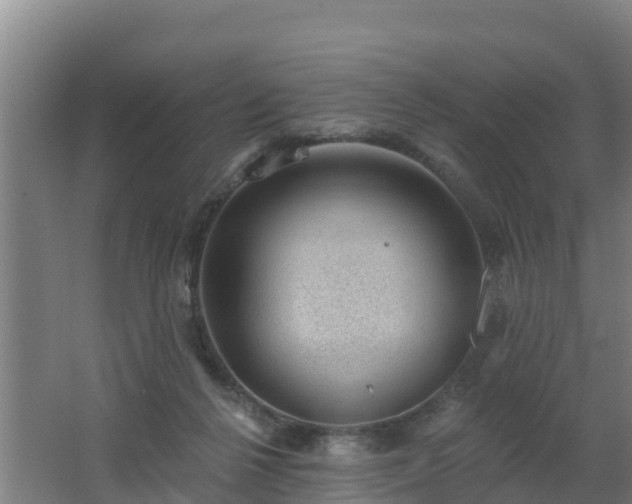 X0000062610264200512230928