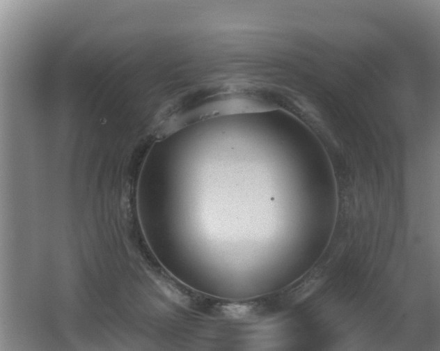 X0000062610265200512230928