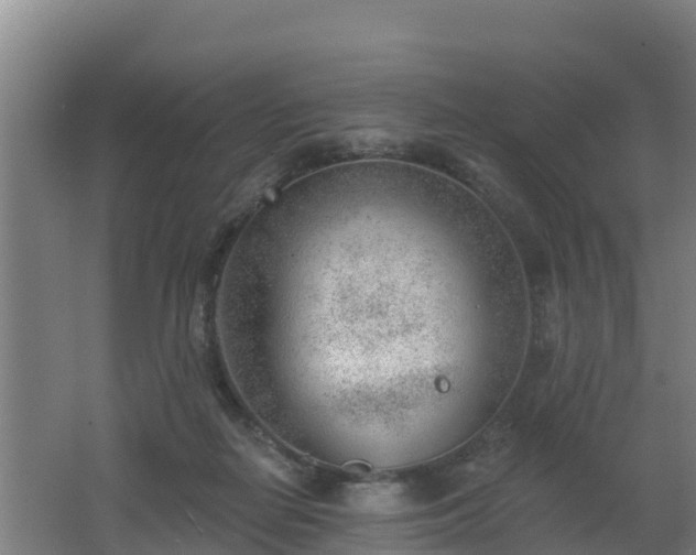 X0000062610266200512230928