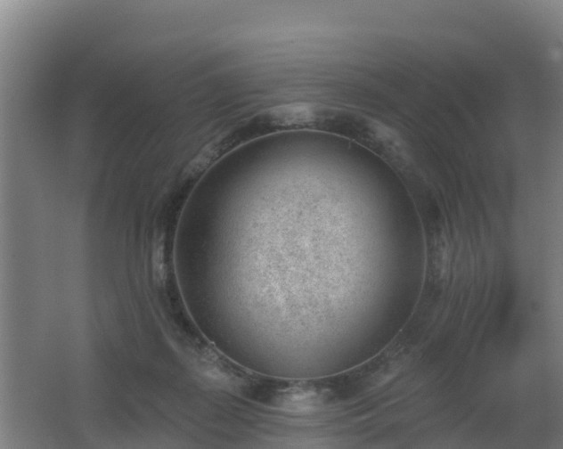 X0000062610267200512230928