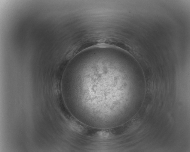 X0000062610272200512230928