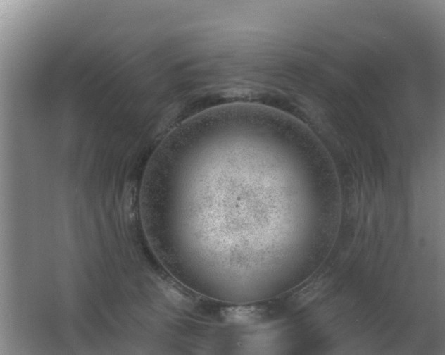 X0000062610273200512230928