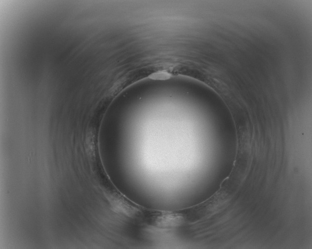 X0000062610274200512230928